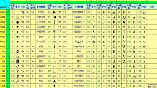 日本A 码与亚洲w码尺码区别,选购指南